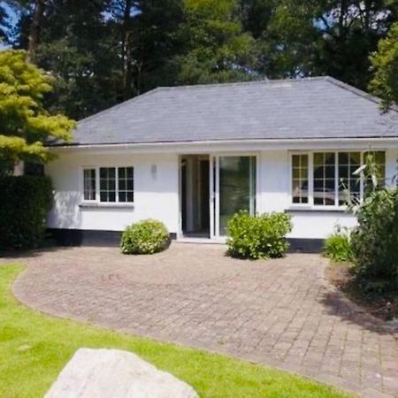 Chadham Pines Cottage Poole Exterior foto